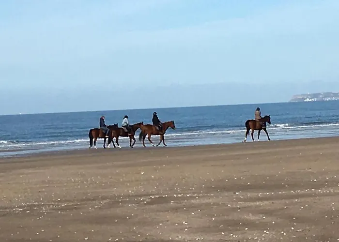 2 Pièces Sur Appartement *